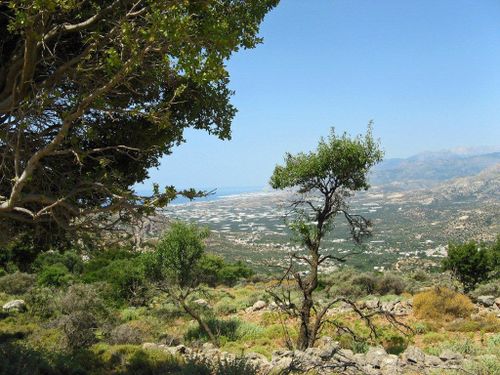 44 Monasteraki-Aghios-Ioannis