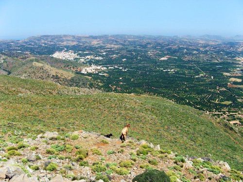 14 Petsofa-Roussolakkos