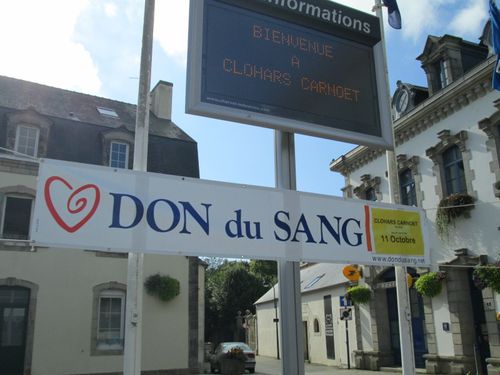 wz046 BlogED-ForumAssos2013-Sang% Bourg