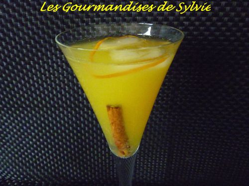 Cocktail au Martini Blanc à l'orange et à la Cannelle 2