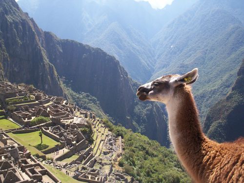 Machu_Picchu_25.jpg