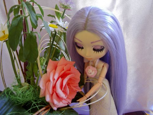 La rose1