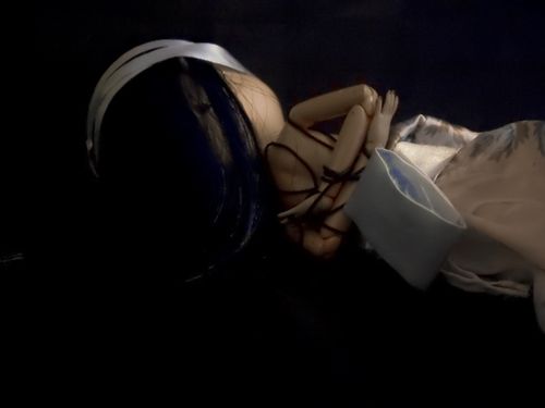 Shibari4.jpg
