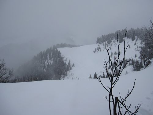 janvier-2010 7139