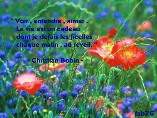 Bon vendredi à tous " Demeurons dans son amour" 3mducpnl-citation-bobin