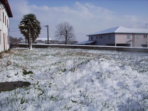 neige2.JPG