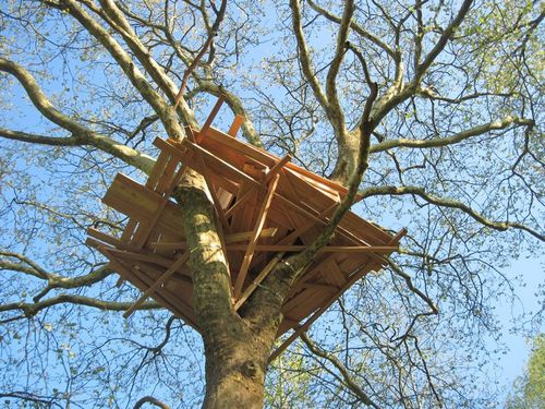 Cabane-dans-un-arbre-.JPG