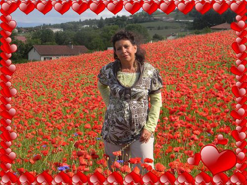 coquelicots-019.jpg