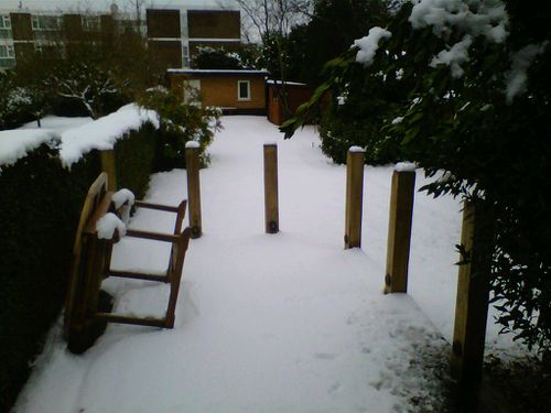 darko garden snow