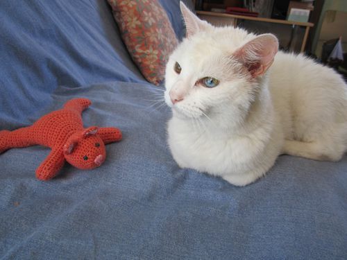 chaton-1-006.jpg