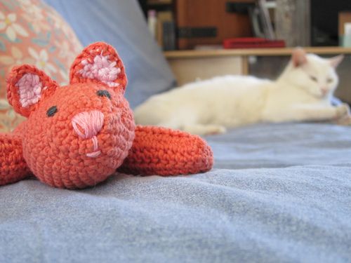 chaton-1-010.jpg