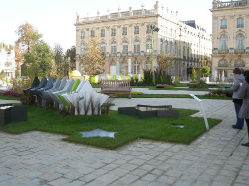 DSCN6829