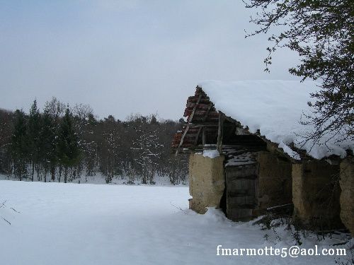 l'Allemagne