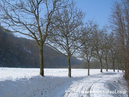 saint baudille marnans neige 12 03 2010