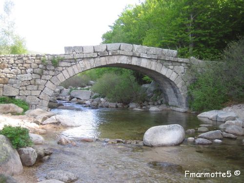 Premier pont sur le Tarn