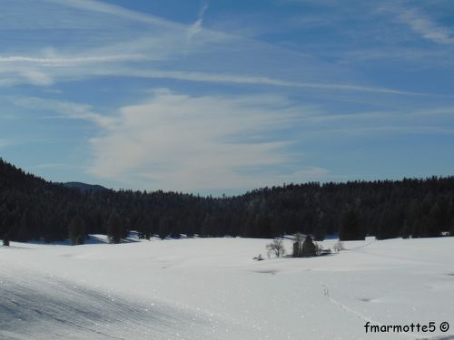 Ruine d'Herbouilly