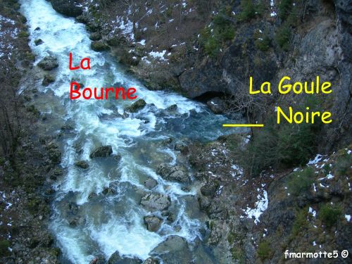 Goule Noire