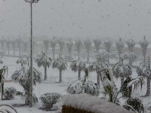 neige 4
