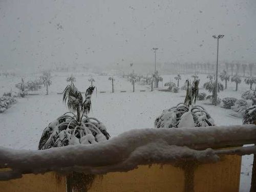 neige 5