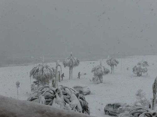 neige 6
