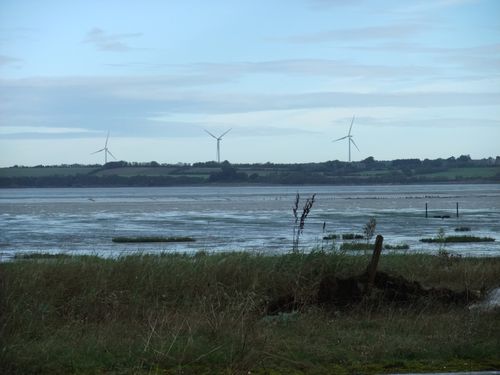 DSCF9435.JPG