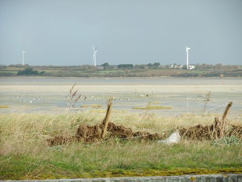 DSCF9526.JPG