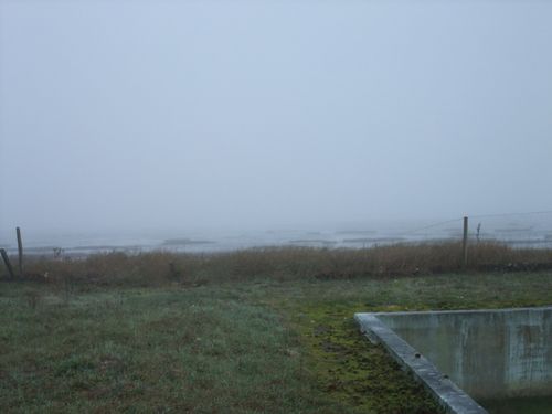 DSCF4011.JPG