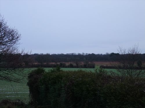 DSCF4020.JPG