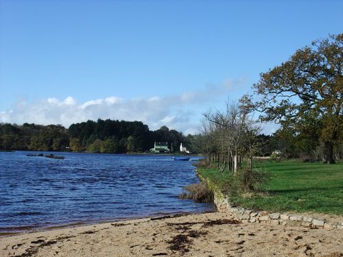 DSCF5191.JPG