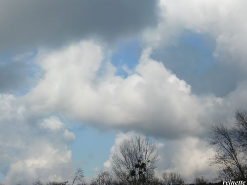 CIMG0475