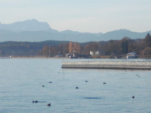 C0150.jpg
