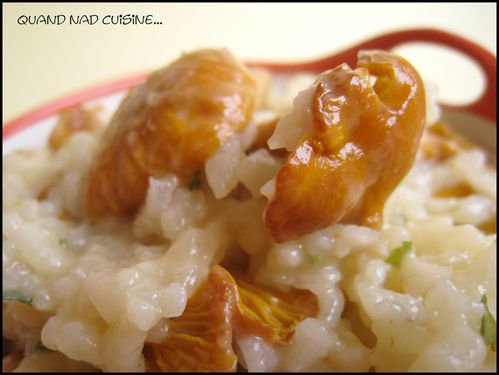 risotto aux girolles2