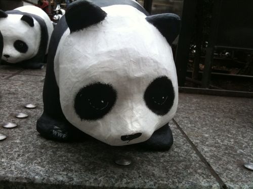 photo-copie-3.jpg