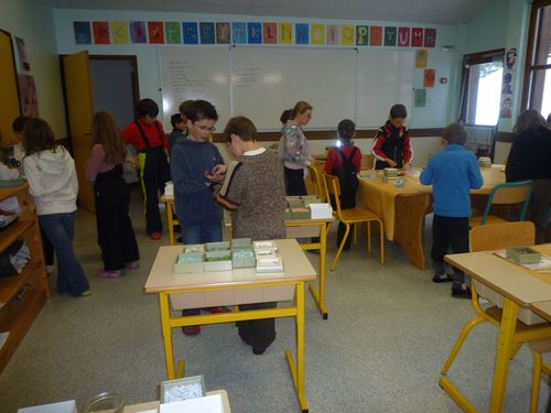 mosaique-ecole-pralognan2.jpg