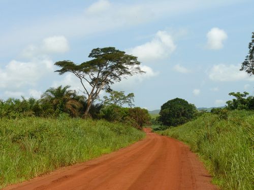 niari-piste-milamila-congo