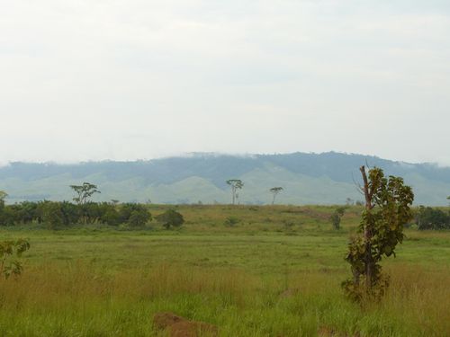 nkayi-plaine-savane-madingou