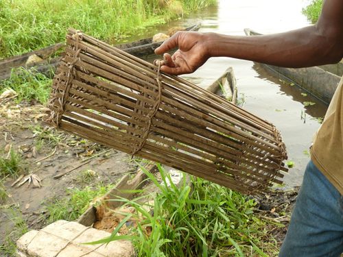 Lac Nanga : nasse et retour - Le blog de Fabrice au Congo