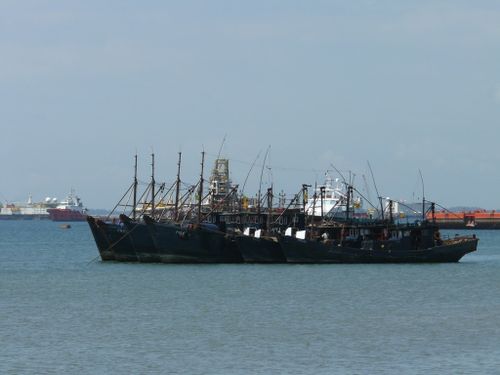 P-bateaux-peche
