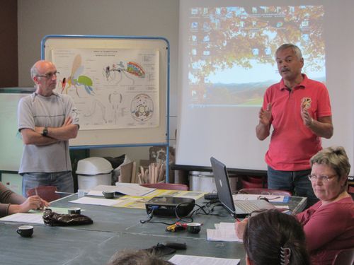 cours-apiculture 1615