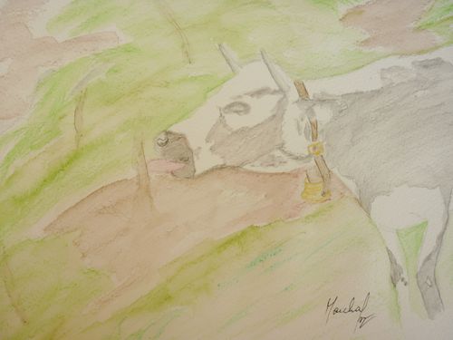 12.Une vache