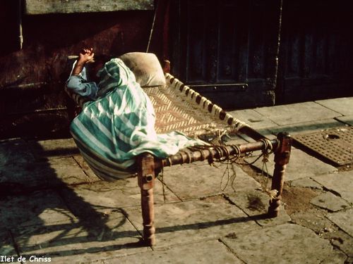 DODO IN INDIA IDC 2