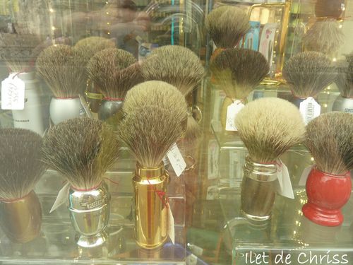 PARIS VITRINE BLAIREAUX IDC