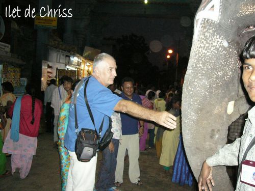 ELEPHANT TEMPLE PONDICHERI 3 IDC