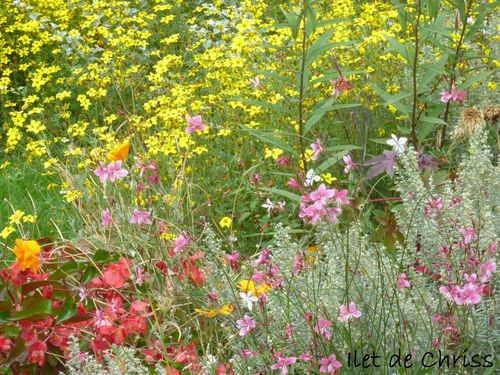 PARIS 1ER JOUR FLEURS IDC