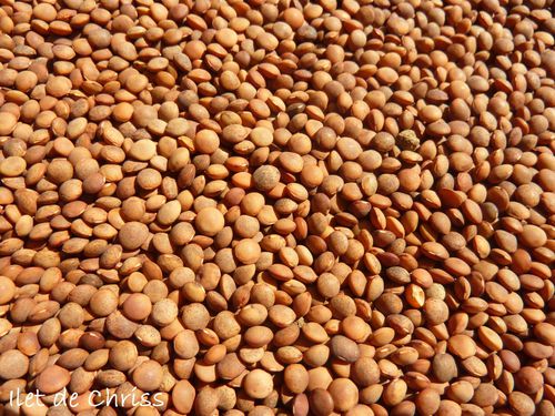 LENTILLES DE CILAOS 02