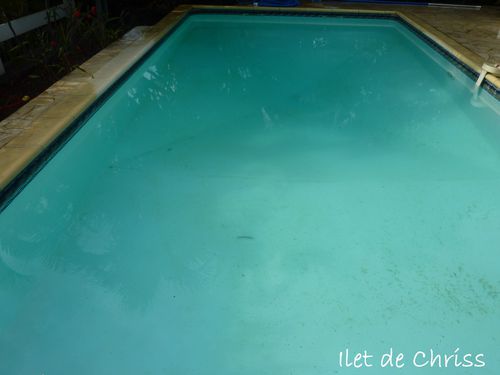 TRUC DANS LA PISCINE