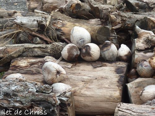 BOIS ET COCOS