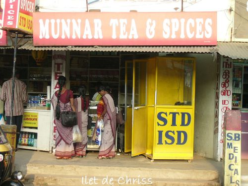 MUNN G014 TEA AND SPICES IDC