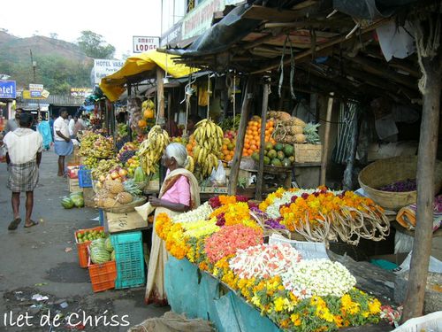 MUNN G022 MARCHE FLEURS IDC