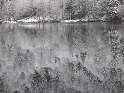 Lac-des-corbeaux--LES-VOSGES 1121